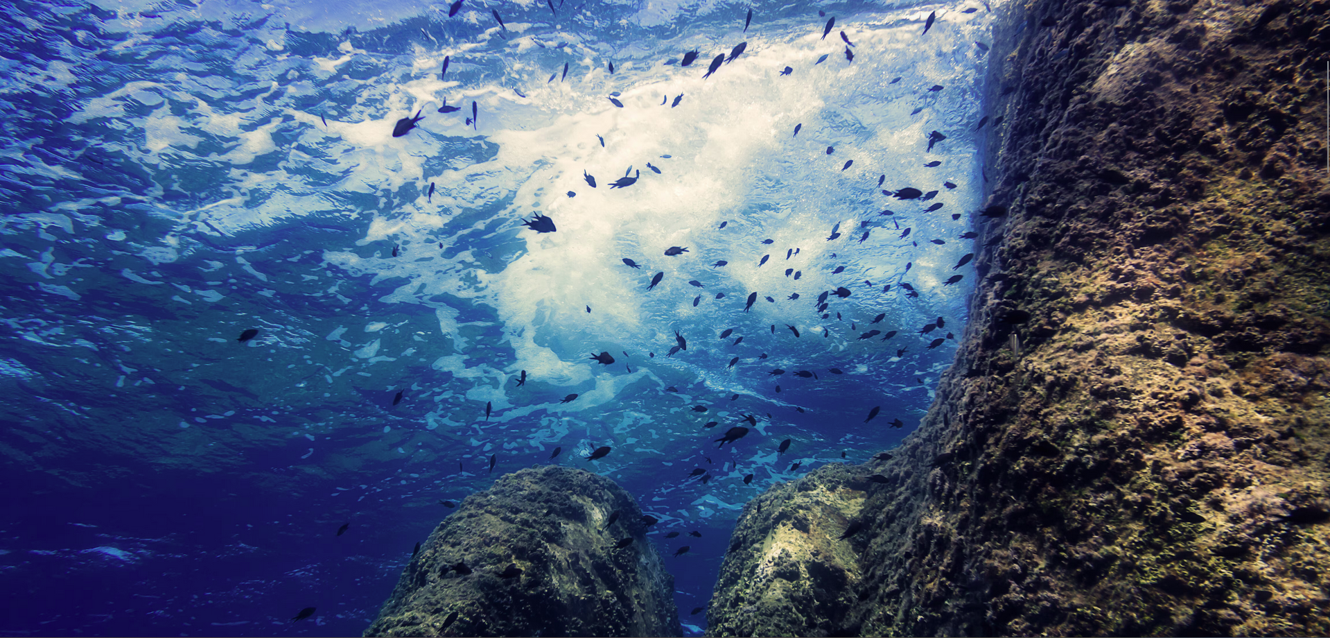 Experts say oceans soaked up record heat levels in 2025